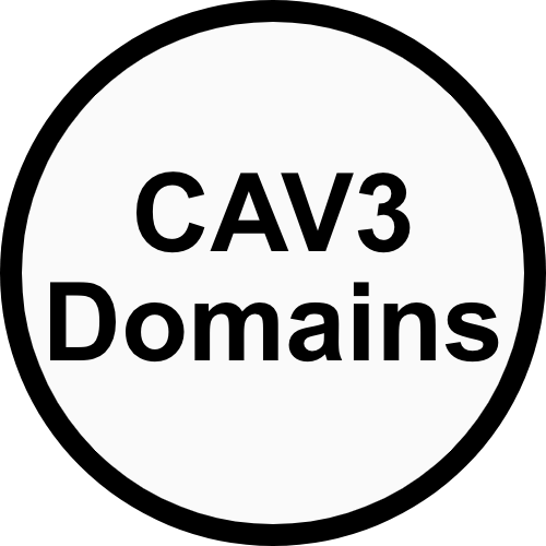 CAV3 Domains